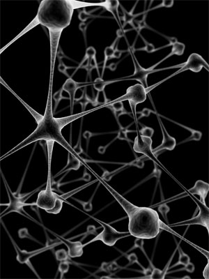 nerves