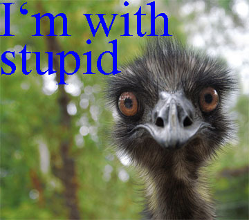 Stupid People